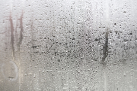 condensation on window